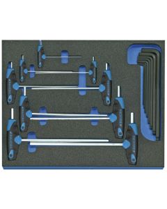 Stiftsleutelset met T-greep in 2/4 CT module, 17-dlg